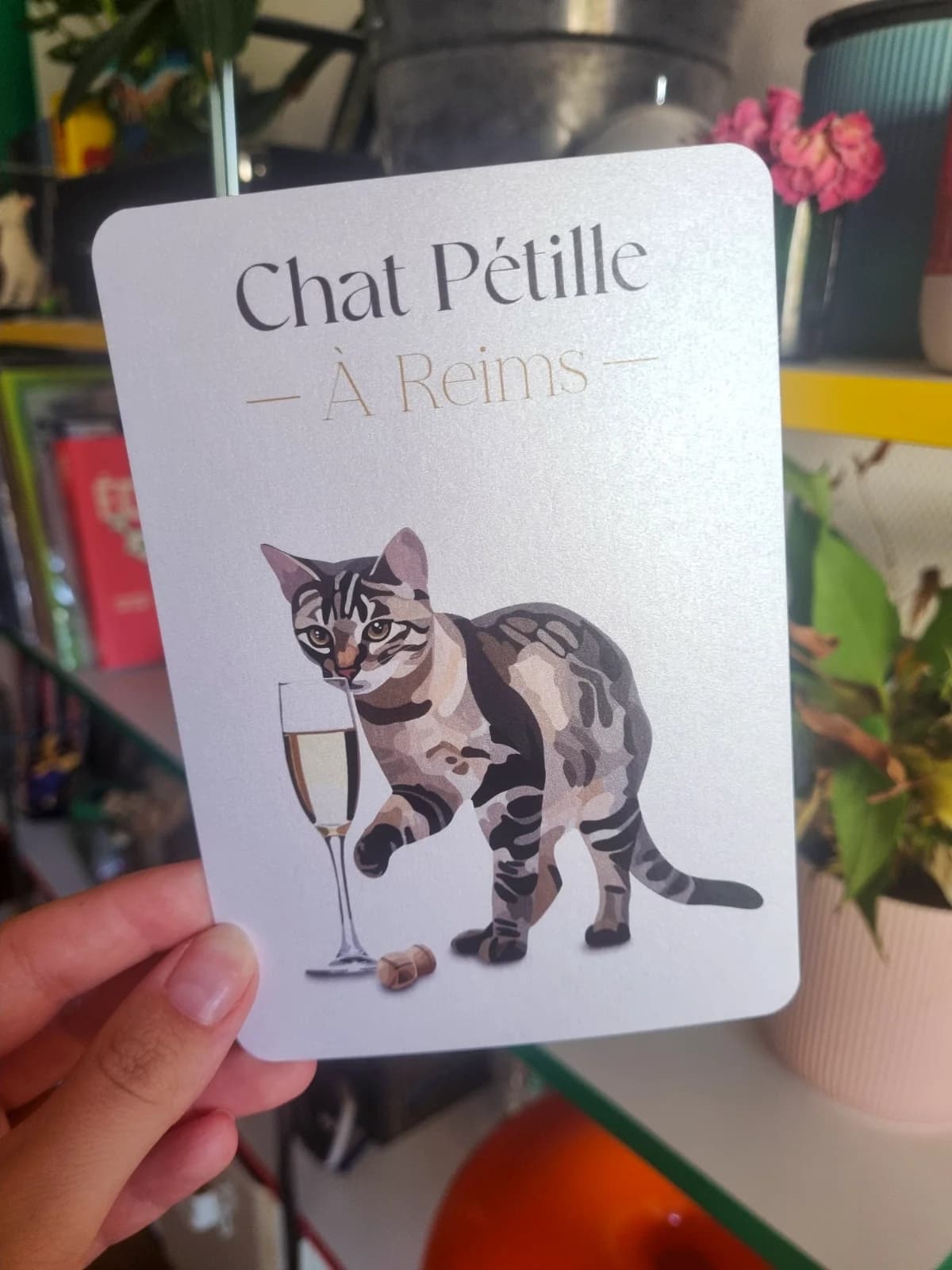 Carte Chat x Reims