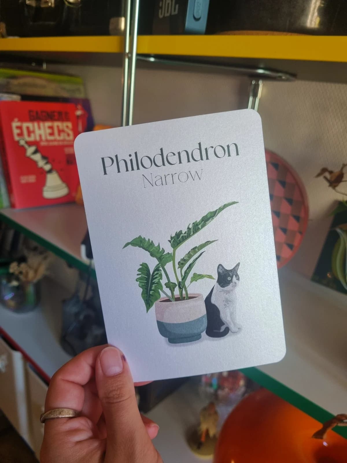 Carte Chat x Philodendron