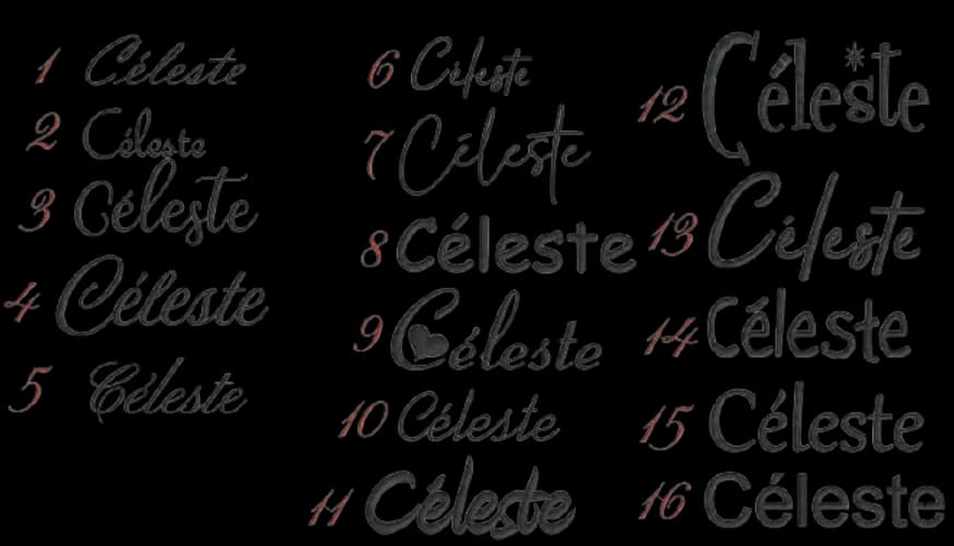 Présentation de seize styles de polices d'écriture numérotées pour la personnalisation de broderies.