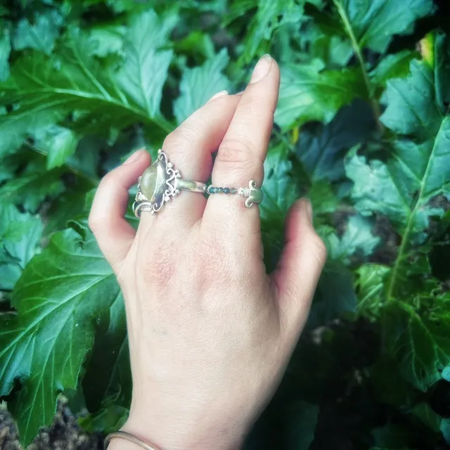 Bague en argent et perles d'agate mousse nichée au cœur d'une plante succulente verte.